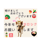 はちボラファミリーのXmas＆年末年始♪（個別スタンプ：16）
