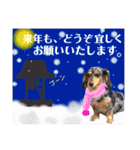 はちボラファミリーのXmas＆年末年始♪（個別スタンプ：19）