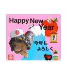 はちボラファミリーのXmas＆年末年始♪（個別スタンプ：20）