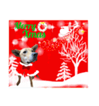 はちボラファミリーのXmas＆年末年始♪（個別スタンプ：22）
