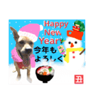 はちボラファミリーのXmas＆年末年始♪（個別スタンプ：23）