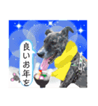はちボラファミリーのXmas＆年末年始♪（個別スタンプ：26）