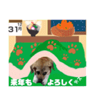 はちボラファミリーのXmas＆年末年始♪（個別スタンプ：29）