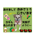 はちボラファミリーのXmas＆年末年始♪（個別スタンプ：30）