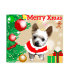 はちボラファミリーのXmas＆年末年始♪（個別スタンプ：31）