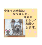 はちボラファミリーのXmas＆年末年始♪（個別スタンプ：32）