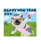 はちボラファミリーのXmas＆年末年始♪（個別スタンプ：33）
