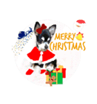 はちボラファミリーのXmas＆年末年始♪（個別スタンプ：34）