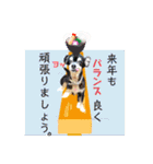 はちボラファミリーのXmas＆年末年始♪（個別スタンプ：35）