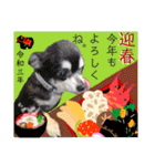 はちボラファミリーのXmas＆年末年始♪（個別スタンプ：36）