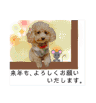 はちボラファミリーのXmas＆年末年始♪（個別スタンプ：38）