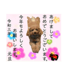 はちボラファミリーのXmas＆年末年始♪（個別スタンプ：39）