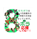 はちボラファミリーのXmas＆年末年始♪（個別スタンプ：40）