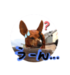 ララスタンプ❤︎（個別スタンプ：2）