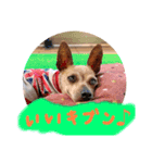 ララスタンプ❤︎（個別スタンプ：5）