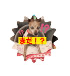 ララスタンプ❤︎（個別スタンプ：7）