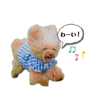 チョコモナちゃん♡ご挨拶（個別スタンプ：2）