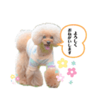 チョコモナちゃん♡ご挨拶（個別スタンプ：5）