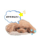 チョコモナちゃん♡ご挨拶（個別スタンプ：9）