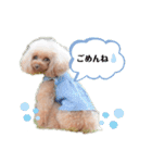 チョコモナちゃん♡ご挨拶（個別スタンプ：10）