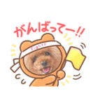 チョコモナちゃん♡ご挨拶（個別スタンプ：15）