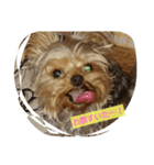 dog character（個別スタンプ：2）