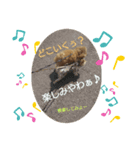 dog character（個別スタンプ：6）