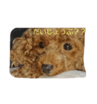 dog character（個別スタンプ：7）