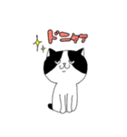 目つきが悪いねこ（個別スタンプ：23）