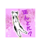 猫拳法Days2（個別スタンプ：9）