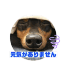 ミニピンるーくバージョンアップ（個別スタンプ：18）