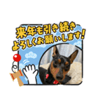 ミニピンるーくバージョンアップ（個別スタンプ：39）