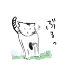 新しい生活様式で暮らす猫 2（個別スタンプ：37）