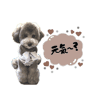 るくるくの日常（個別スタンプ：6）