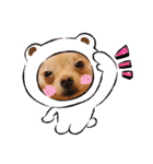 あんこ"（個別スタンプ：5）