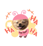 あんこ"（個別スタンプ：6）