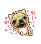 あんこ"（個別スタンプ：7）