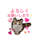 ノルウェージャンとマンチカン♡可愛い猫達（個別スタンプ：4）