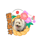 メイプルの仲間たち（個別スタンプ：2）