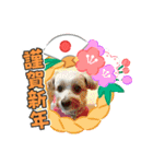 メイプルの仲間たち（個別スタンプ：3）
