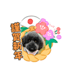 メイプルの仲間たち（個別スタンプ：4）