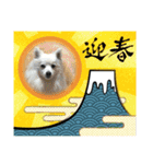 メイプルの仲間たち（個別スタンプ：5）