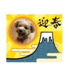 メイプルの仲間たち（個別スタンプ：7）