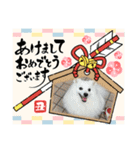 メイプルの仲間たち（個別スタンプ：9）