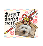 メイプルの仲間たち（個別スタンプ：10）