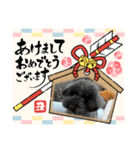 メイプルの仲間たち（個別スタンプ：12）
