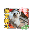 メイプルの仲間たち（個別スタンプ：14）