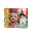 メイプルの仲間たち（個別スタンプ：15）