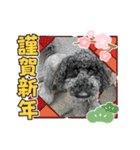 メイプルの仲間たち（個別スタンプ：16）