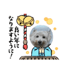 メイプルの仲間たち（個別スタンプ：18）